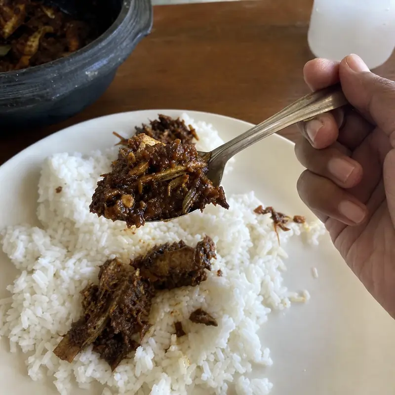 A spoonful of tuna masala over a plate of white rice