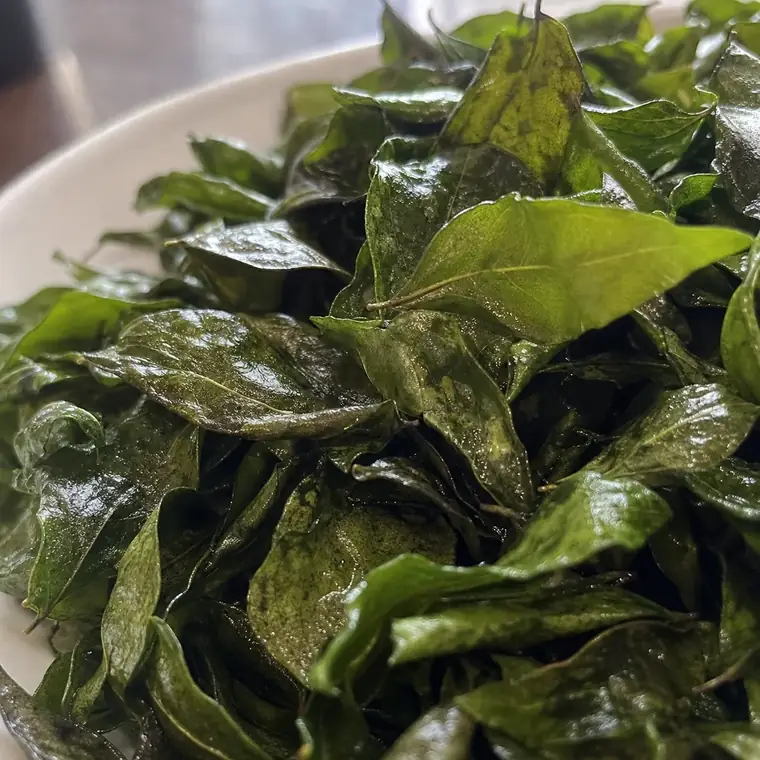 Close-up of crisp fried curry leaves